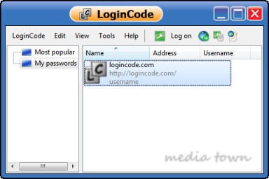 Web login item window